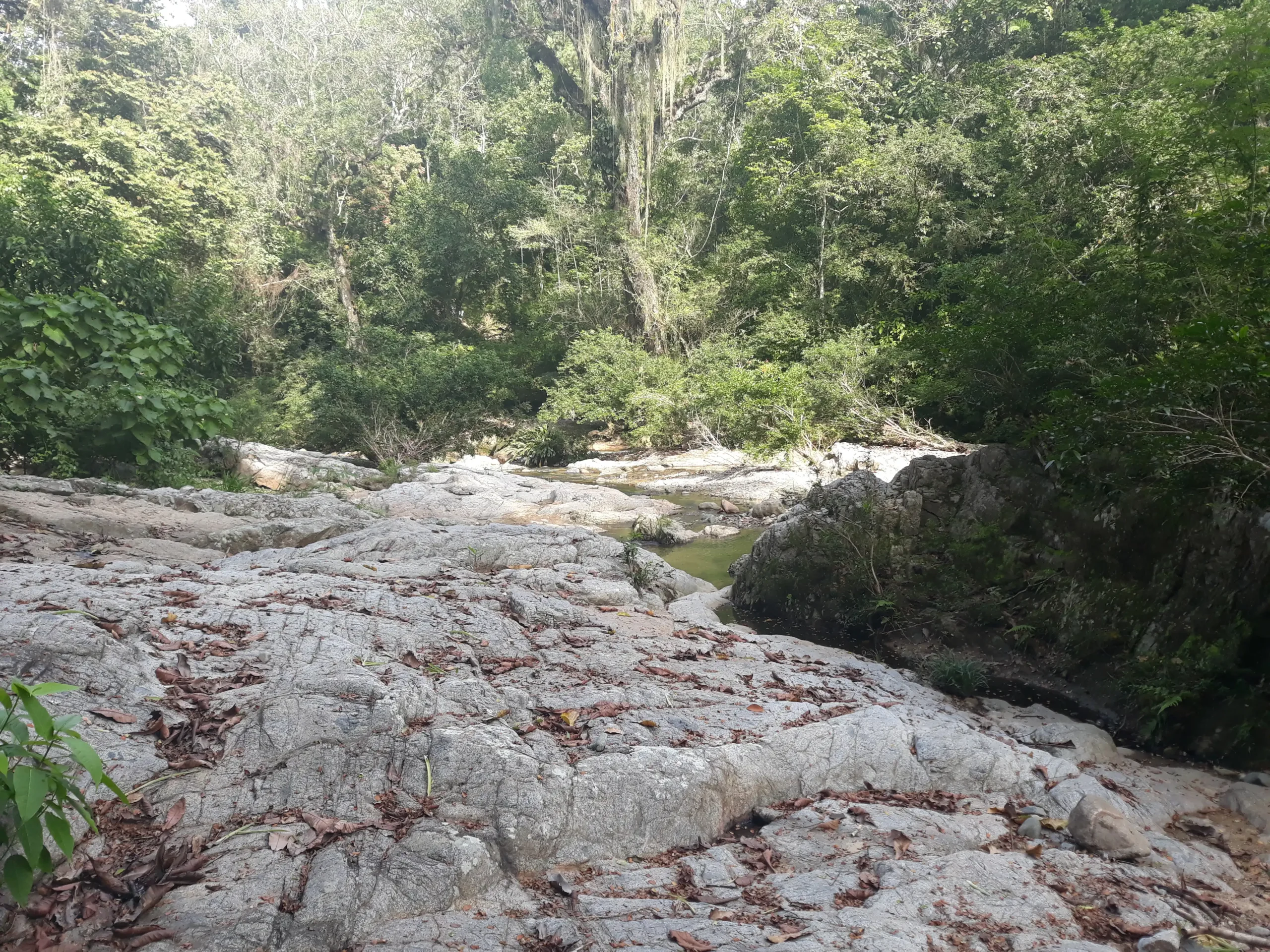 Cacao Musical - Image 9