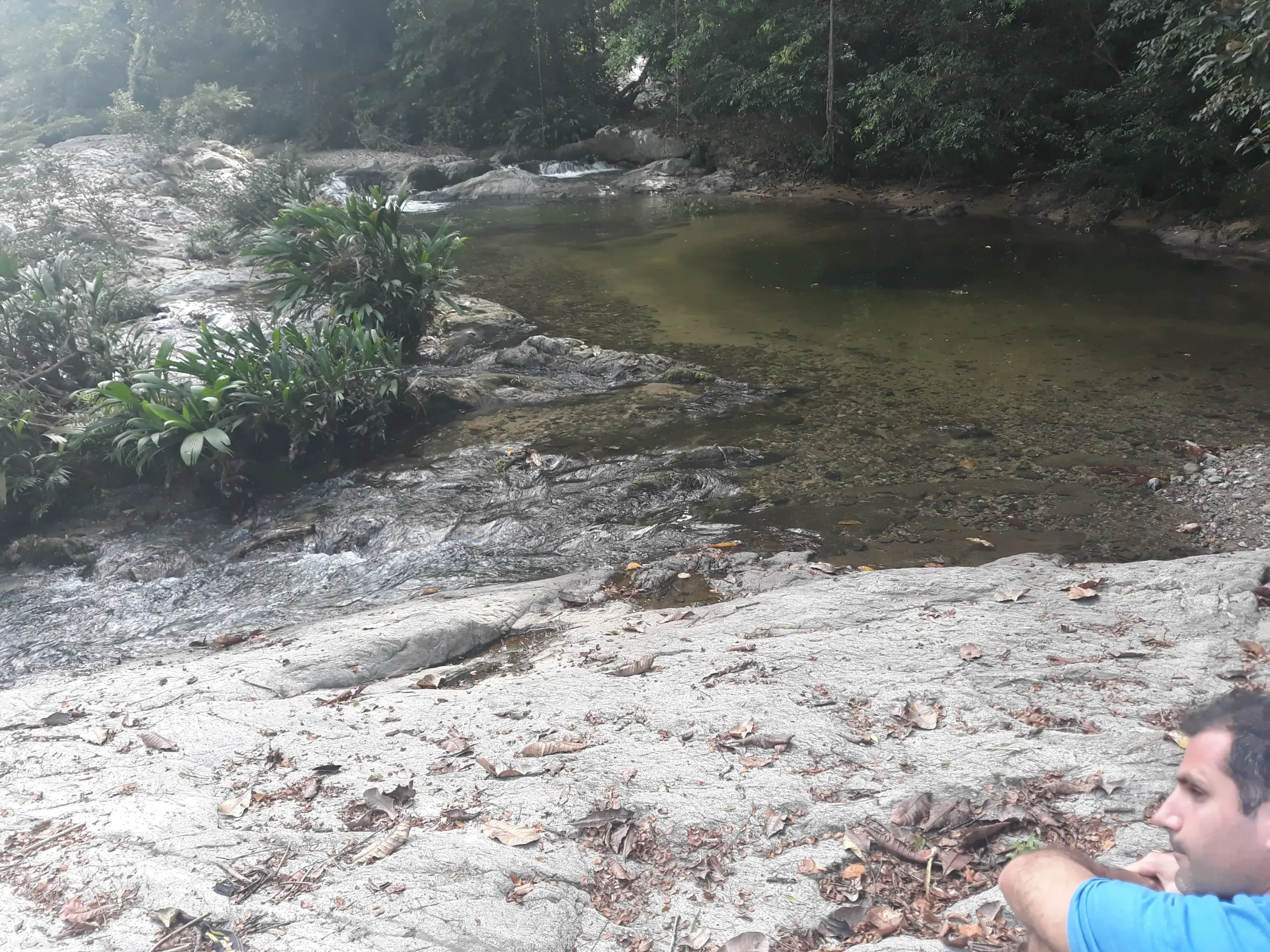 Cacao Musical - Image 3