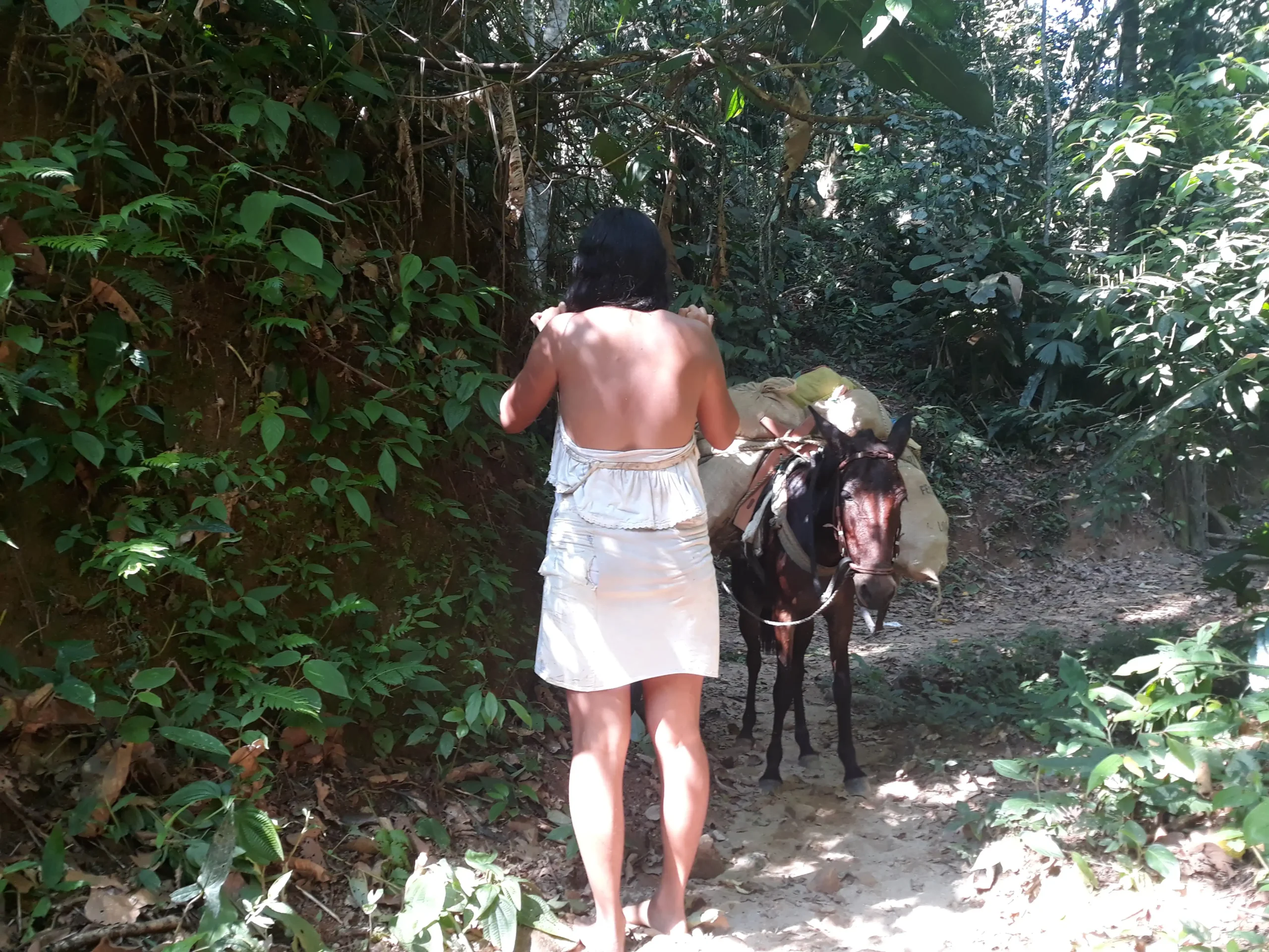 Cacao Musical - Image 6