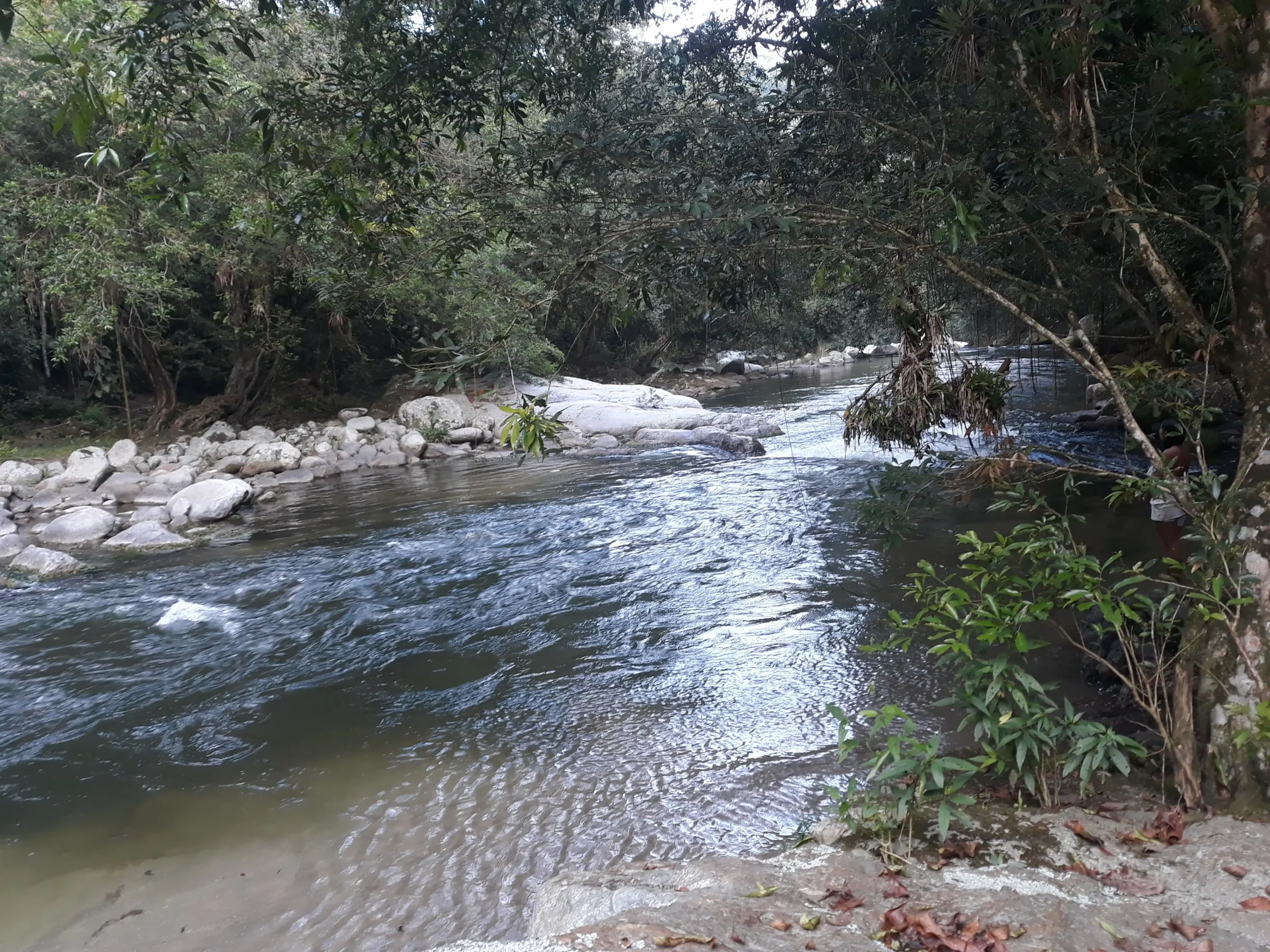 Cacao Musical - Image 8