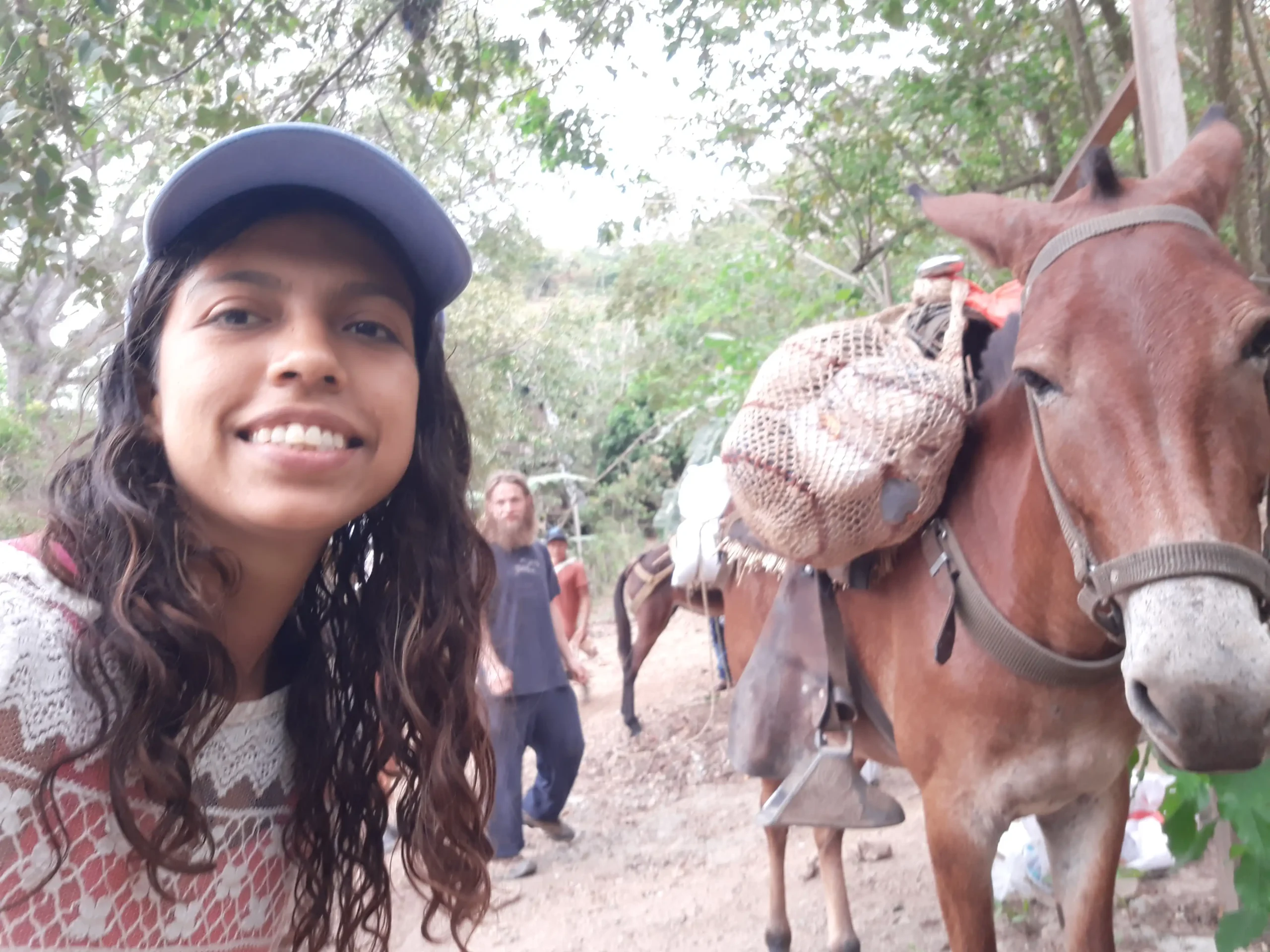 Mamaise River - Image 2