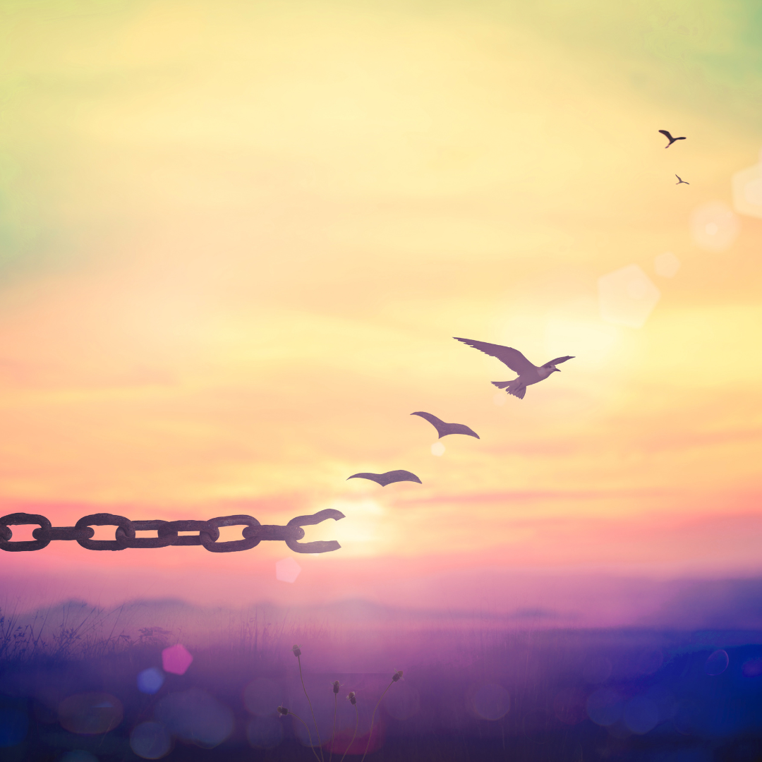 Phoenix rebirth, A Journey of the soul - Image 2