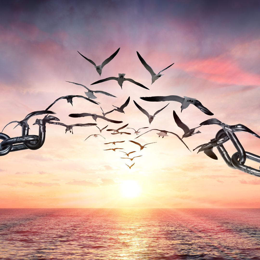 Phoenix rebirth, A Journey of the soul - Image 3