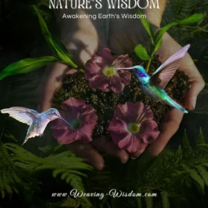 Syntropic Agriculture