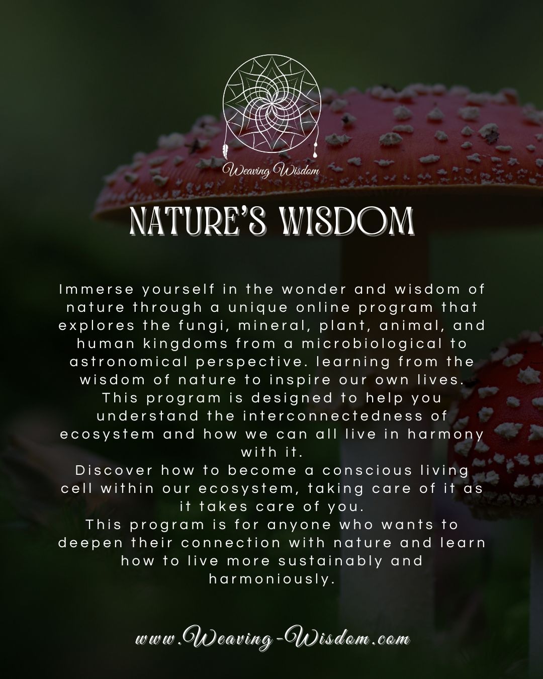 Nature's wisdom - Image 2
