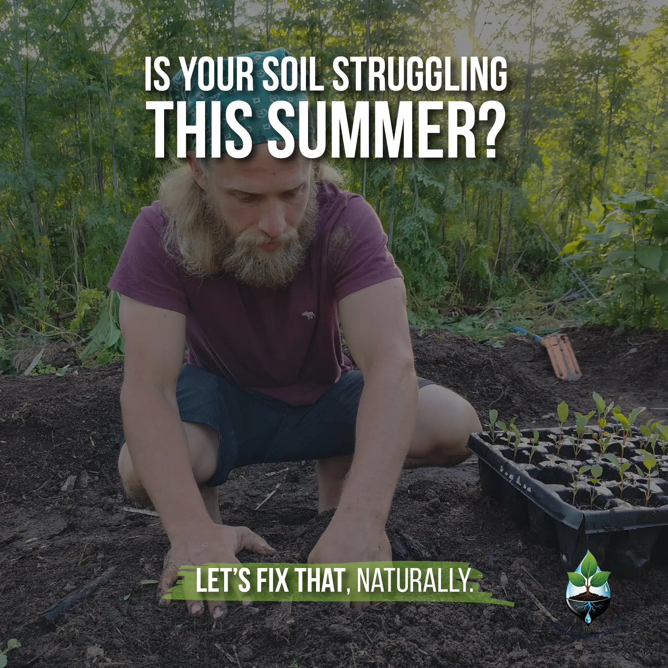 Natural Mulch and Cover