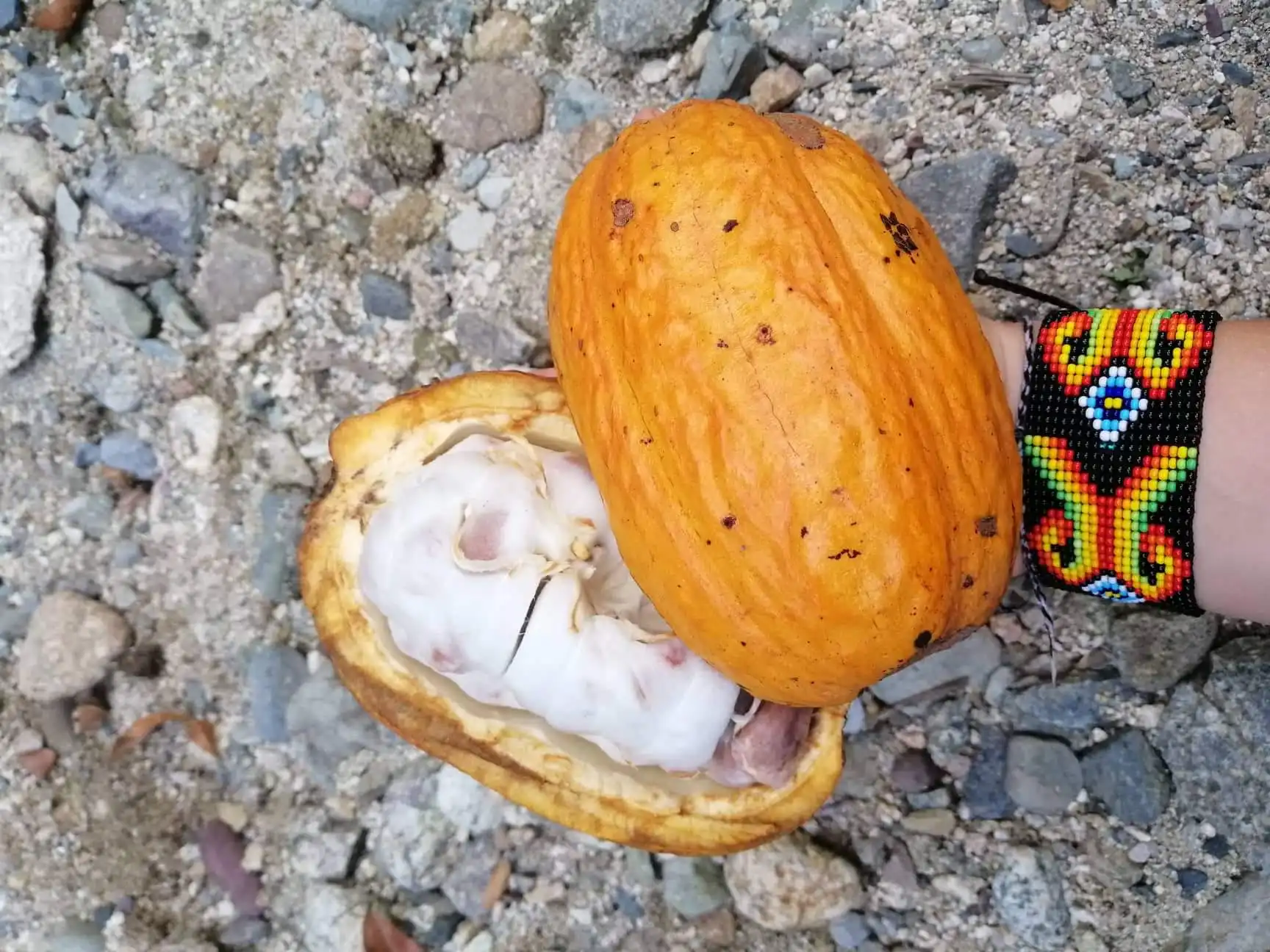 Mamaise River - Image 4