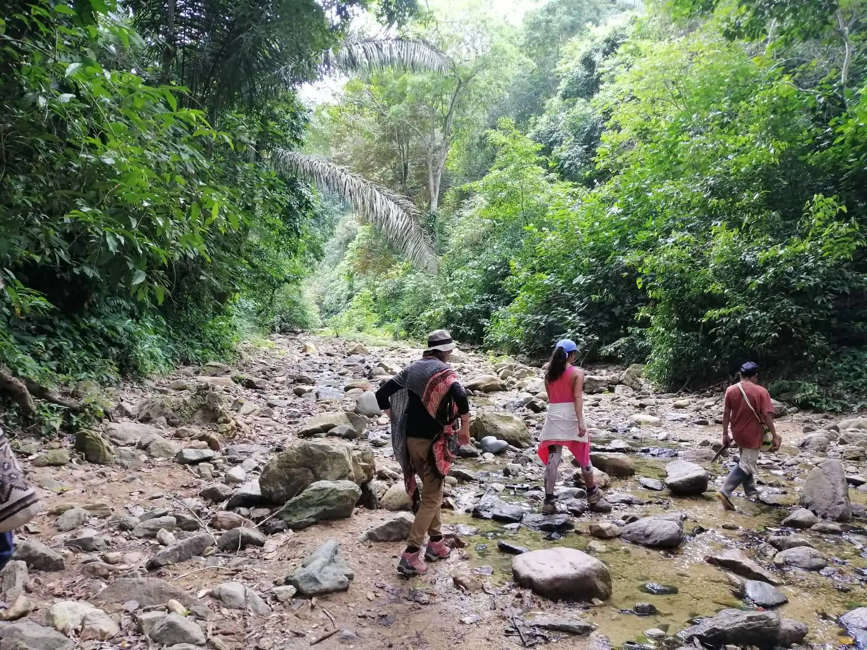 Mamaise River - Image 5