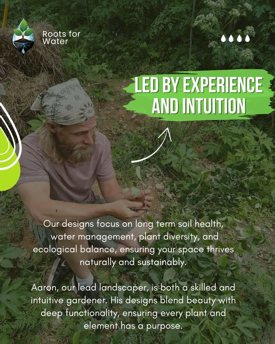 Natural Mulch and Cover - Image 4