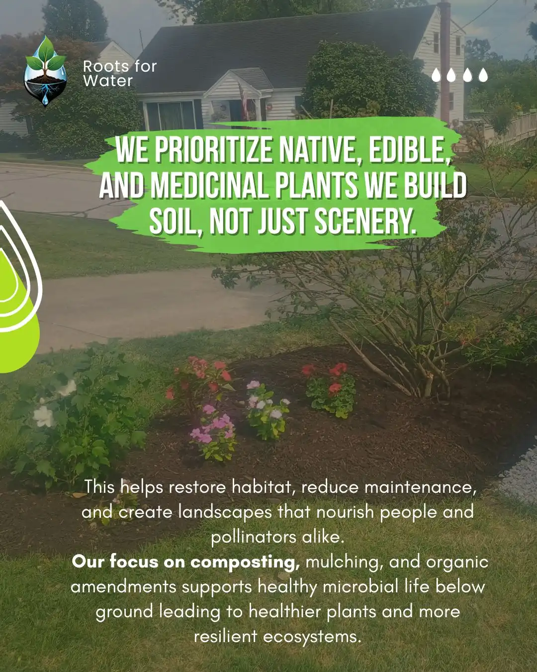 Natural Mulch and Cover - Image 5