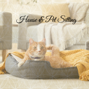 Pet & House Sitting